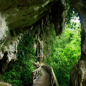 Miri, Sarawak Part 3: Niah Cave & the Tutu Fish Miri, Sarawak Part 3: Niah Cave & the Tutu Fish