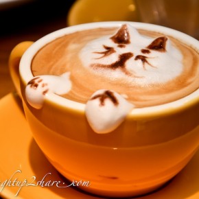 Nutmeg @ Bangsar Village II, KL Nutmeg @ Bangsar Village II, KL