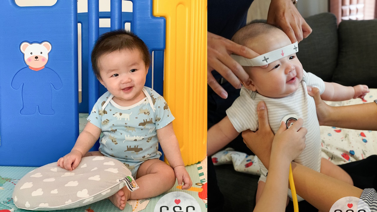 Tako S Journey With Mimos Pillow Brought Up 2 Share